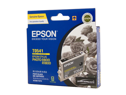Epson T0541 Photo Black Ink Cartridge - 550 pages