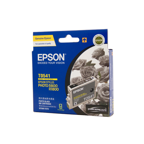 Epson T0541 Photo Black Ink Cartridge - 550 pages